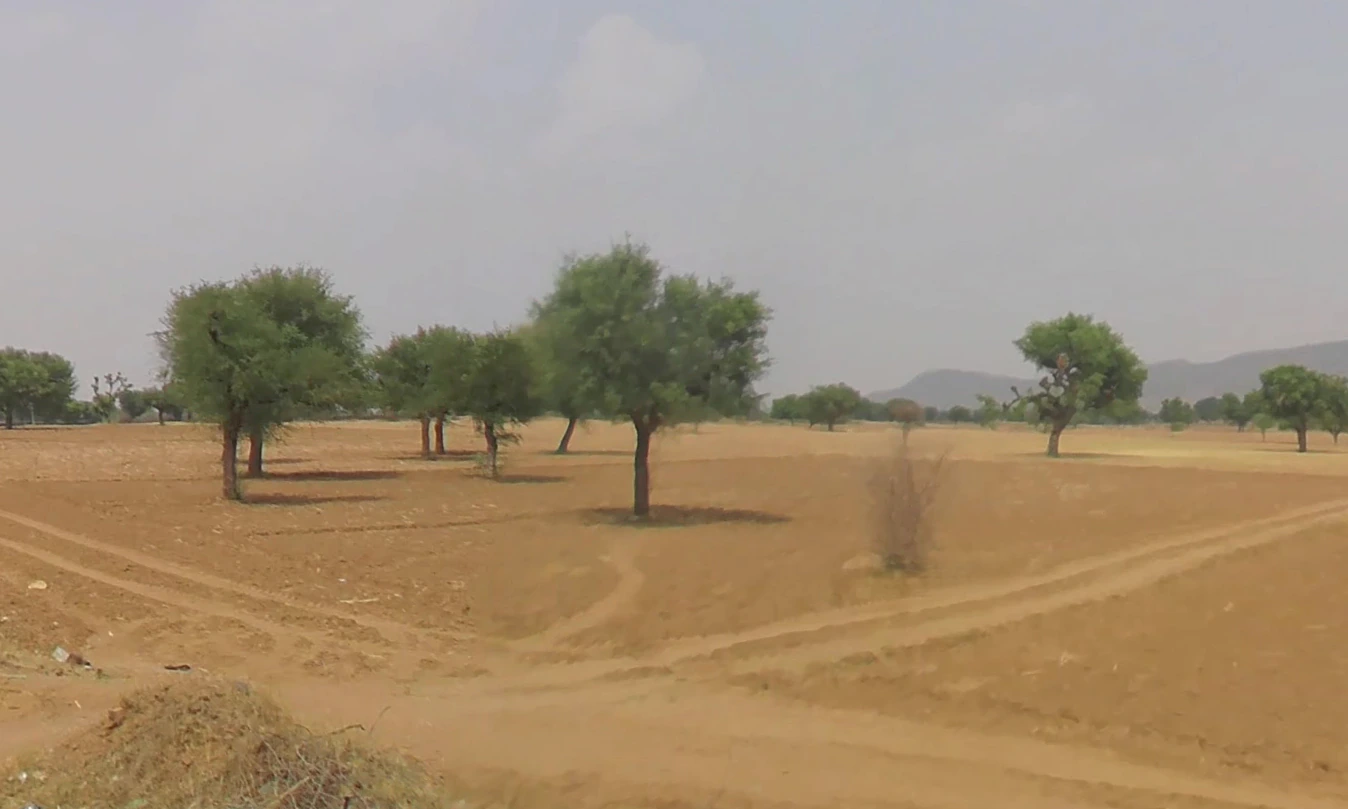 Morni Hills, Haryana, India