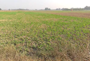 Karchana, Uttar Pradesh 212301, India preview 3
