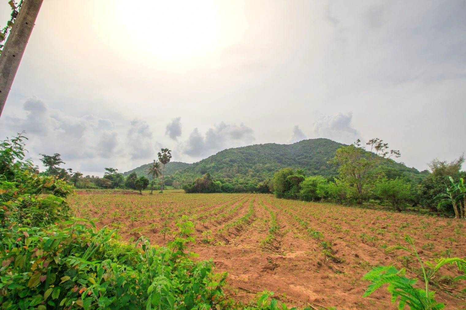 46F5+5GW, Siya Khedi, Madhya Pradesh 473287, India