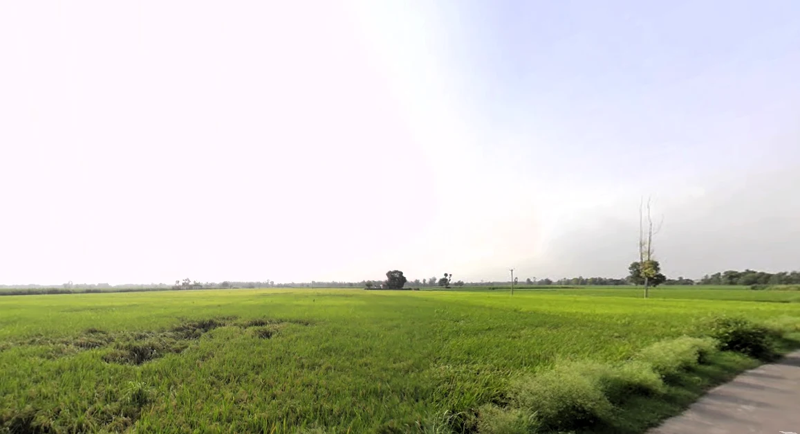 Nakur, Uttar Pradesh 247342, India