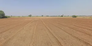 JJWW+FMH, Aslali, Gujarat 387530, India preview 3