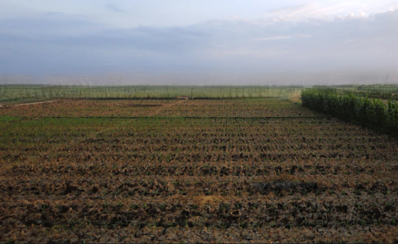 Munak, Haryana 132040, India