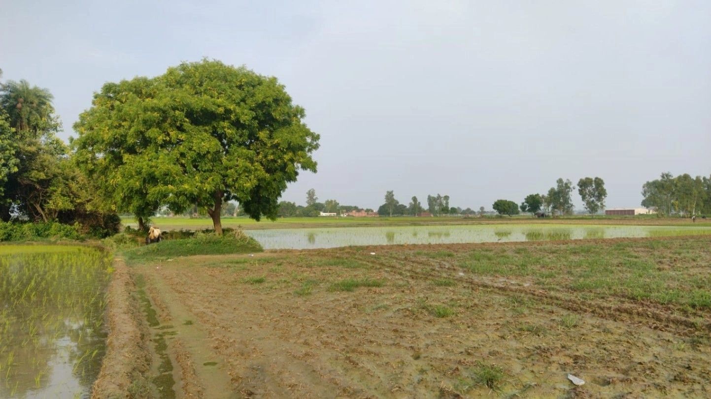 Keshopur, Ambedkar Nagar, Uttar Pradesh 204212, India
