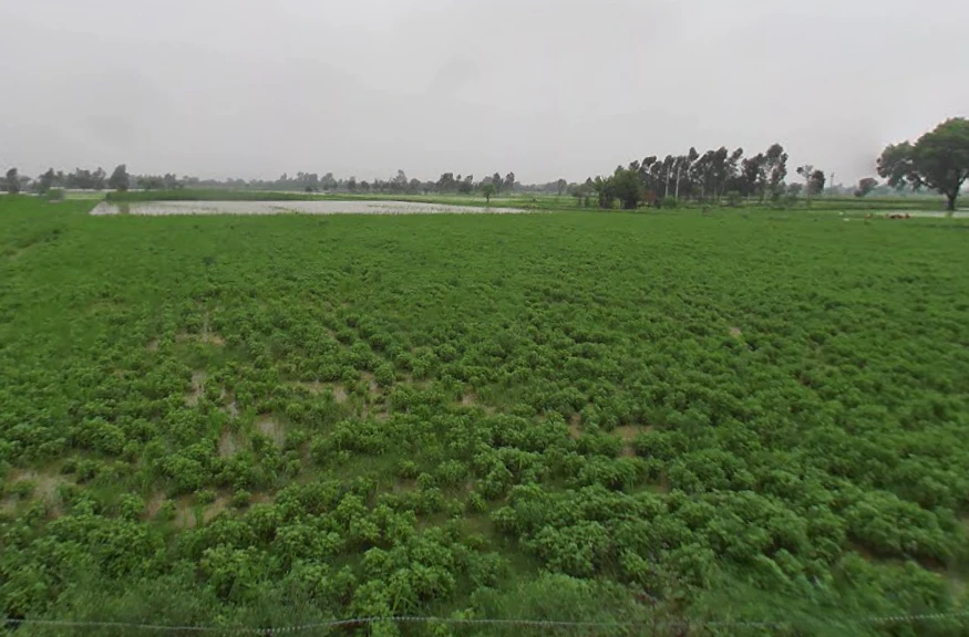 Dataganj, Uttar Pradesh 243635, India