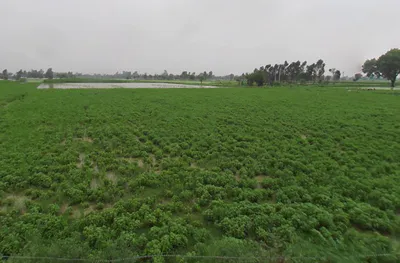 Dataganj, Uttar Pradesh 243635, India preview 2