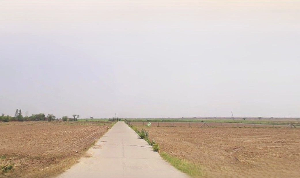 Barnagar, Madhya Pradesh 456771, India