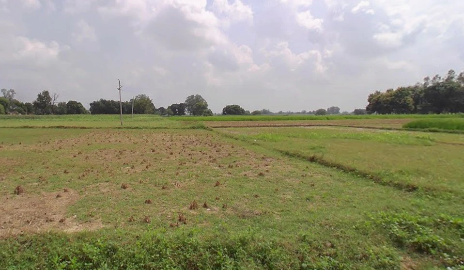 Sonkatch, Madhya Pradesh 455118, India