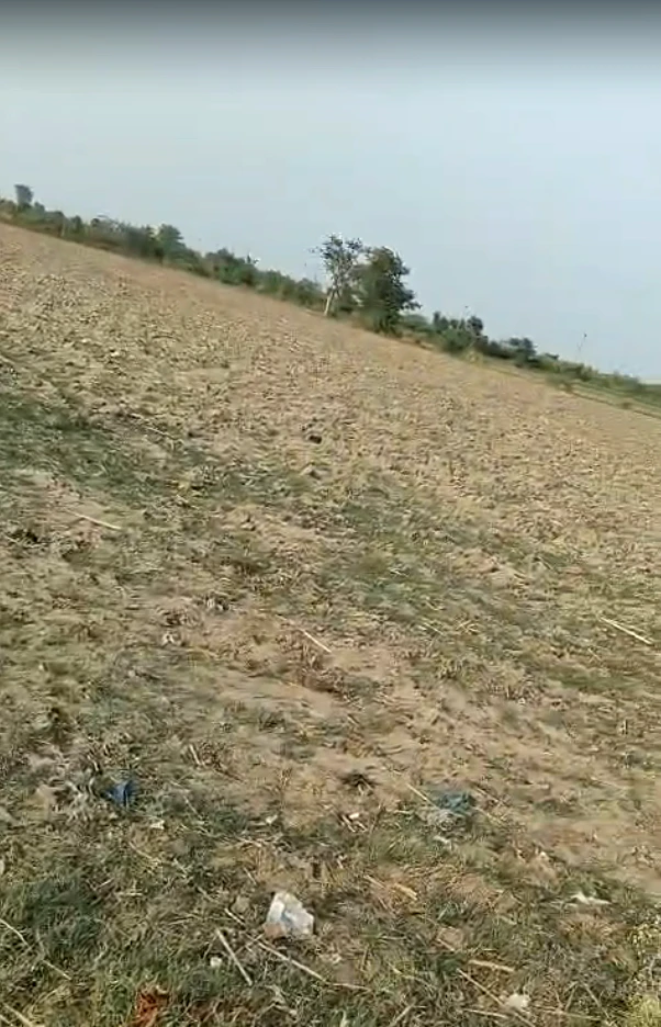 Baseri, Rajasthan 328022, India