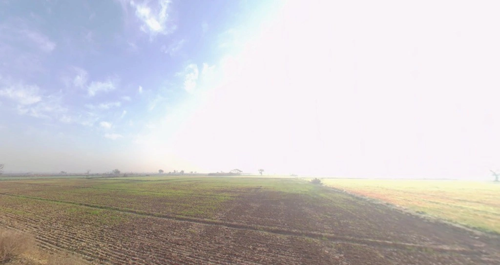 Gijarod, Haryana 124103, India