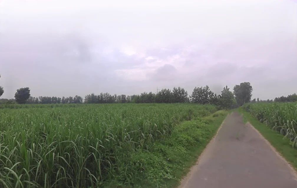 Jansath, Uttar Pradesh 251314, India