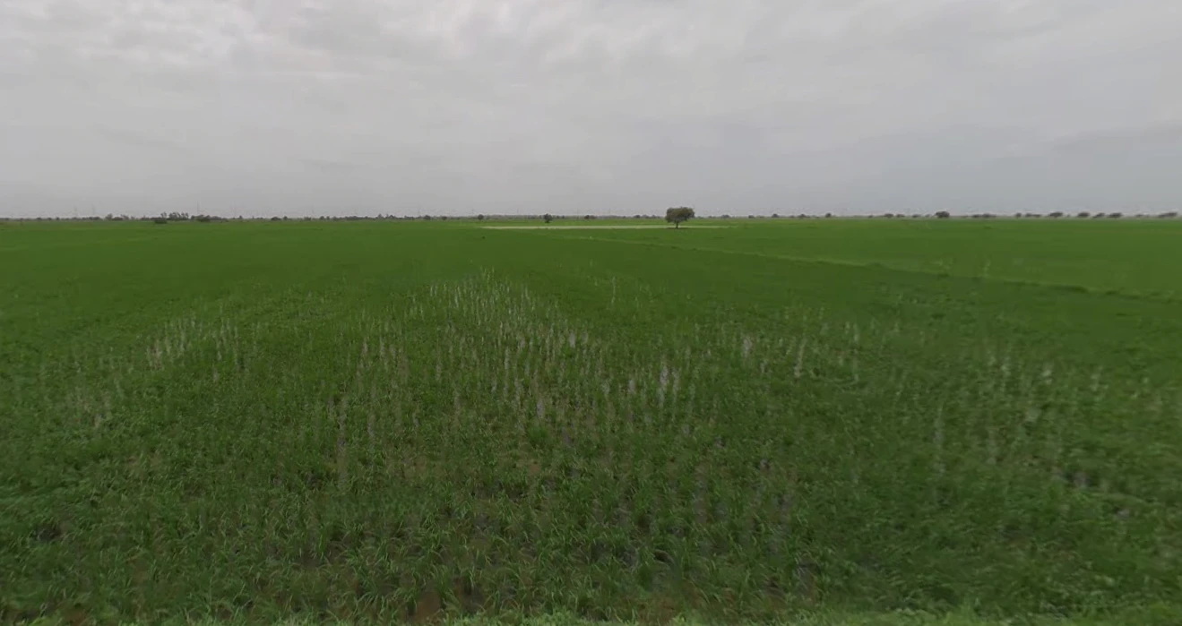 Nandura, Maharashtra 443404, India