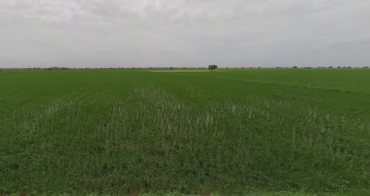 Nandura, Maharashtra 443404, India preview 3