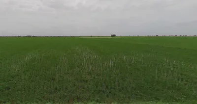 Nandura, Maharashtra 443404, India preview 3