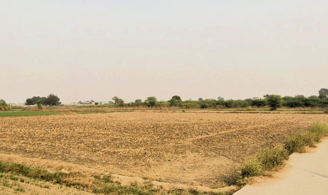 Sundarpur, Haryana 124514, India