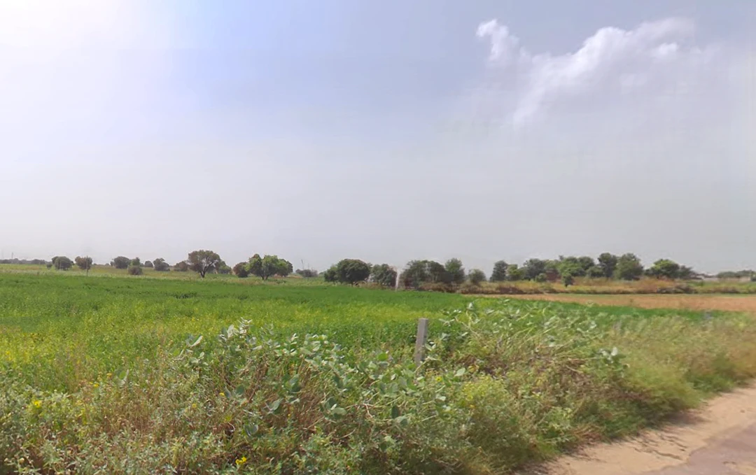 Dalawas, Haryana 127308, India