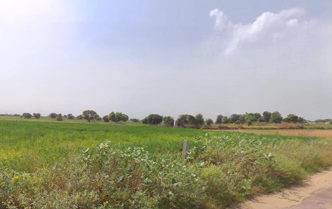 Dalawas, Haryana 127308, India