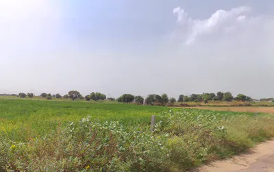 Dalawas, Haryana 127308, India preview 2