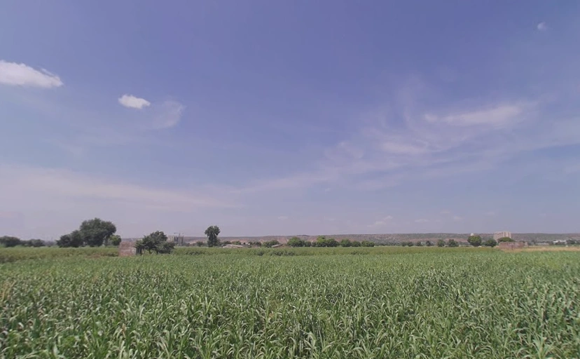 Indri Road, Atta, Sohna, Haryana 122103, India