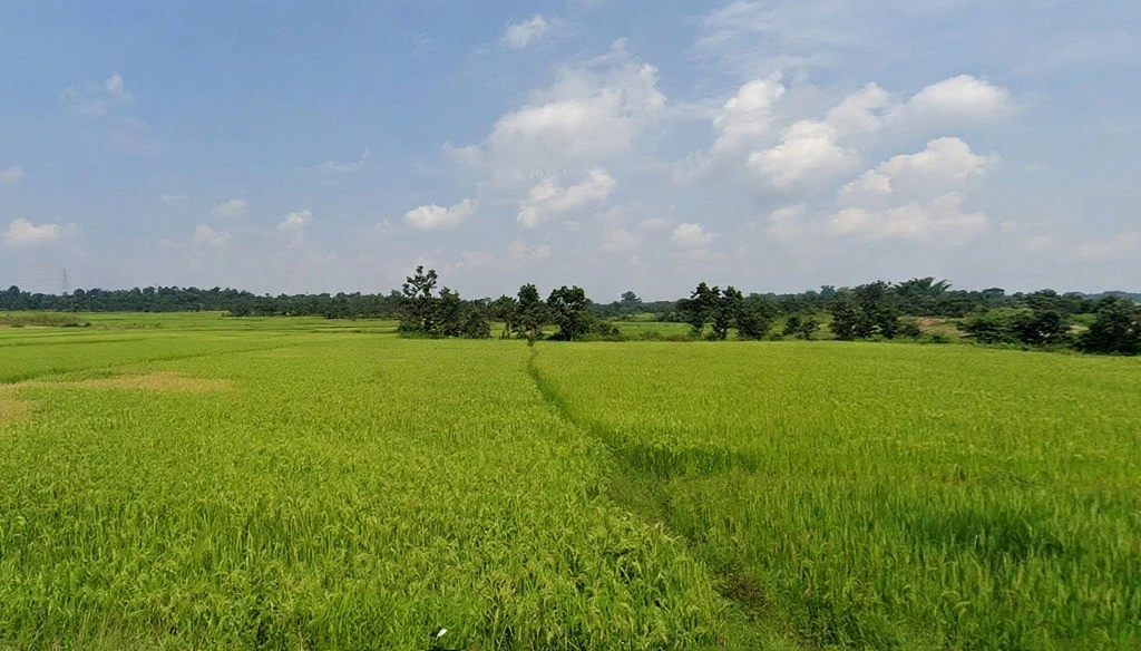 Chukru, Jharkhand 835221, India