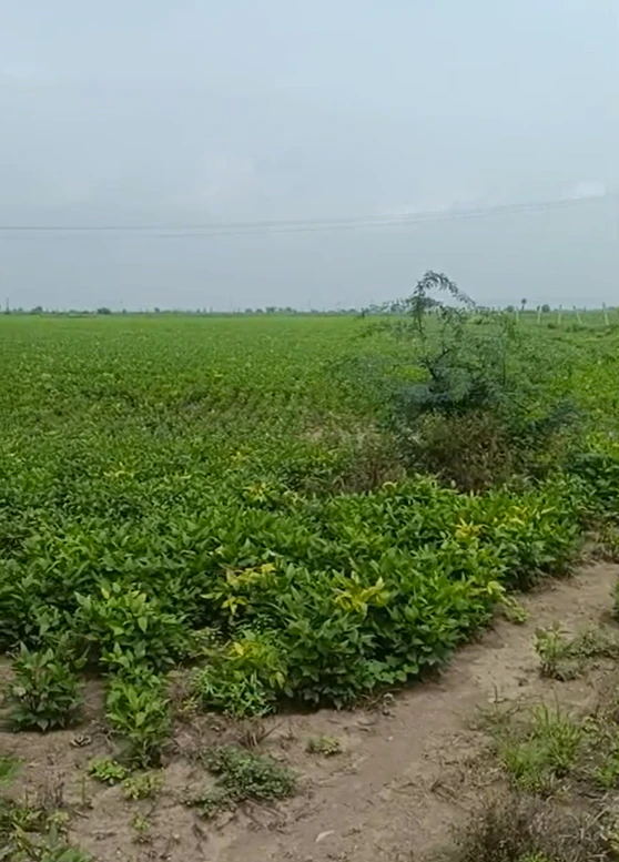 P2C8+HP Khajoori, Bundi, Rajasthan, India