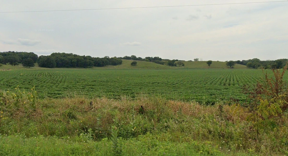 Atari Khejda, Madhya Pradesh 464001, India