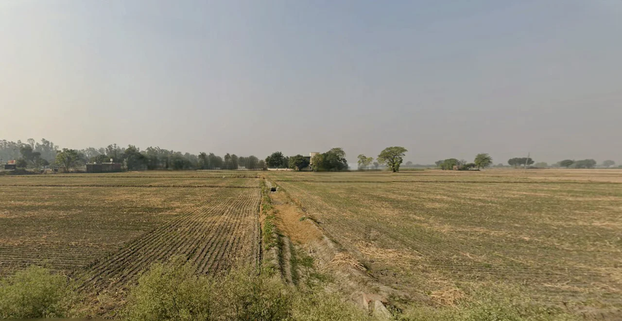 Mehna, Punjab 142011, India preview 3