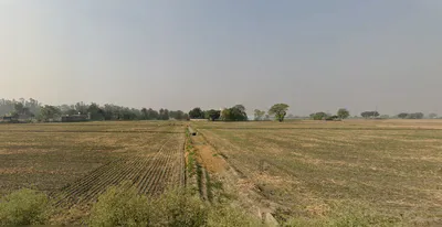 Mehna, Punjab 142011, India preview 3