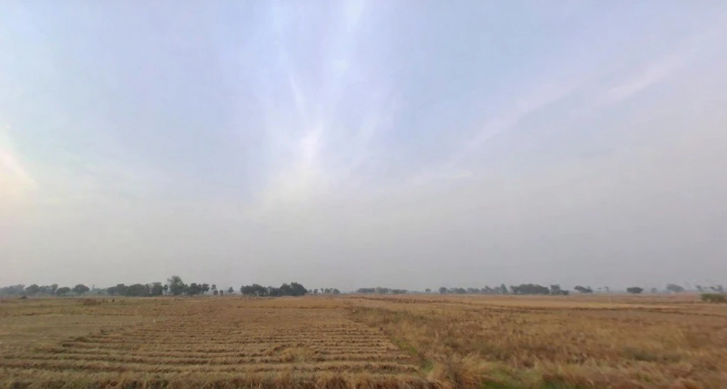 Paliganj, Bihar 801110, India