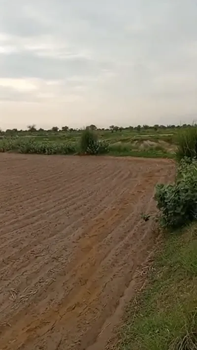 CRQG+HP Sunari, Tonk, Rajasthan, India preview 2