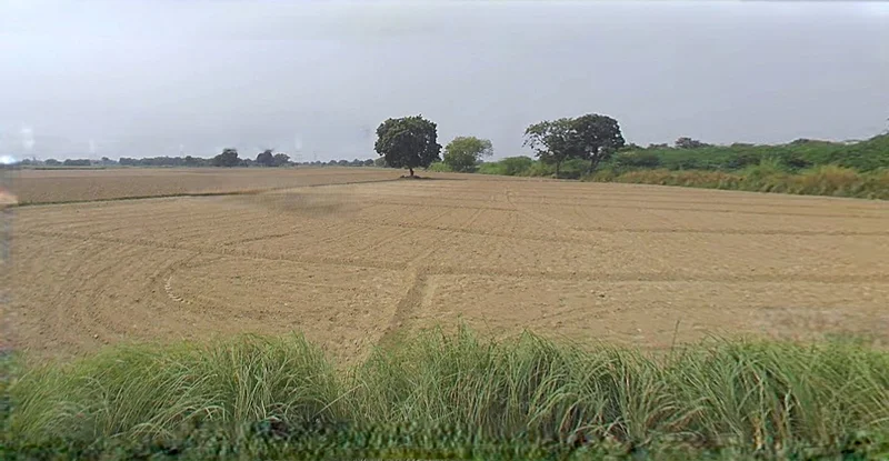 Barnagar, Madhya Pradesh 456771, India preview 2