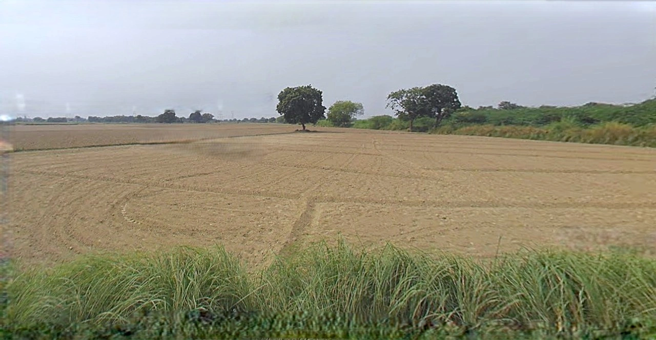 Barnagar, Madhya Pradesh 456771, India