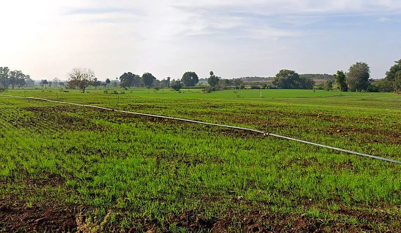 Rehti, Madhya Pradesh 466446, India preview 3