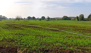 Rehti, Madhya Pradesh 466446, India preview 3