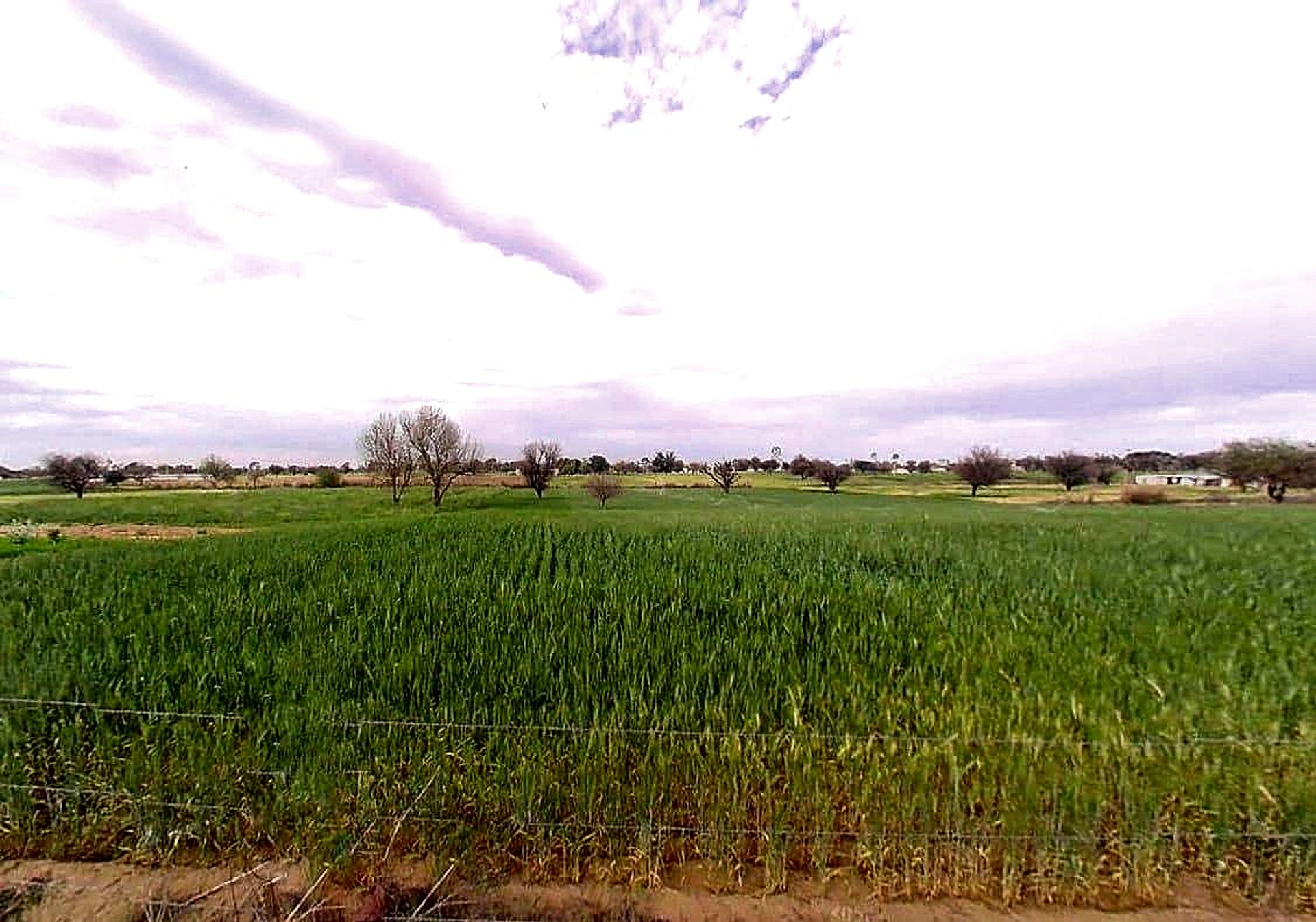 Khatoo, Rajasthan 332602, India