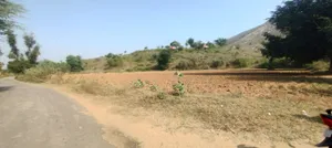Kerwawal, Rajasthan, India preview 4