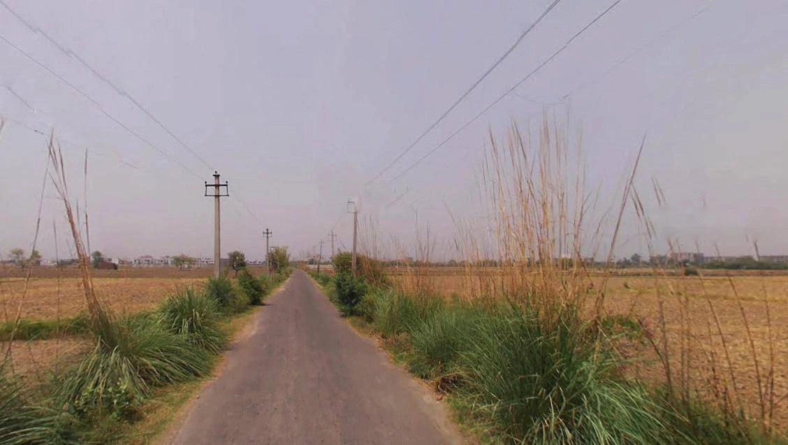 Barwala, Haryana 125121, India