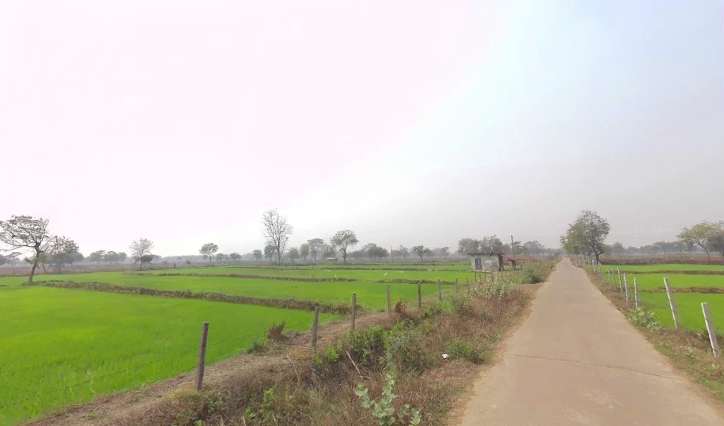 Kutela, Chhattisgarh 493558, India