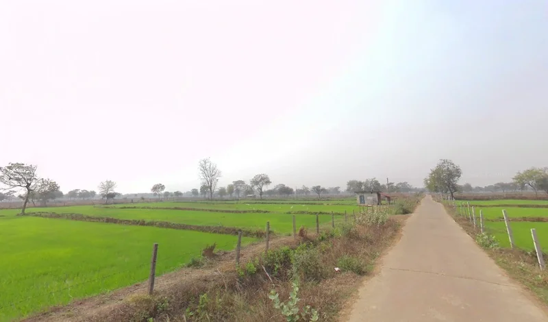 Kutela, Chhattisgarh 493558, India preview 2