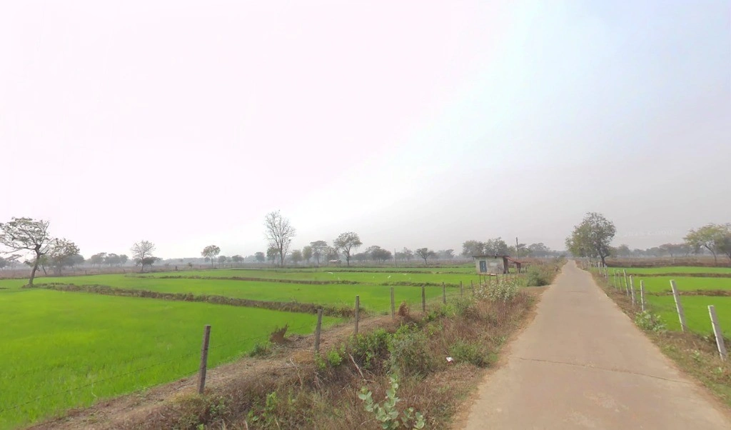 Kutela, Chhattisgarh 493558, India