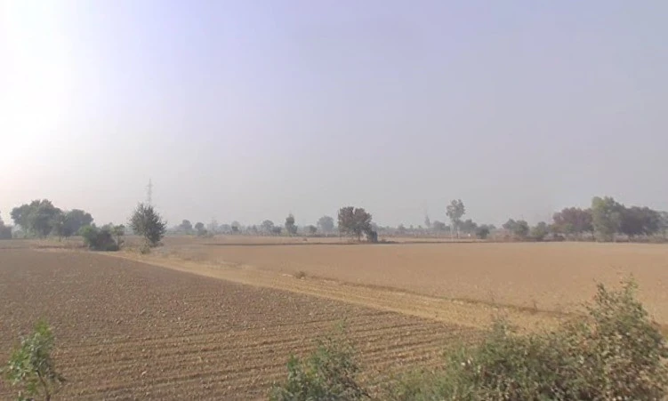 Kalanaur, Haryana 124113, India