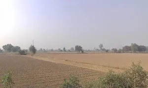 Kalanaur, Haryana 124113, India preview 2