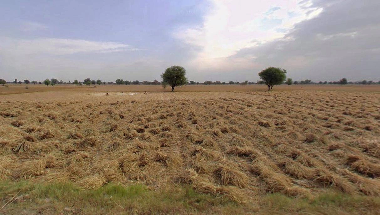 Bhatkuchi, Assam 781314, India