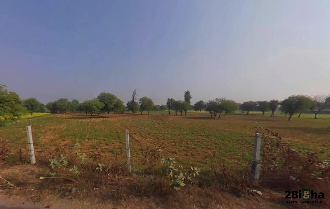 Chalk, Faridpur, Haryana 125103, India