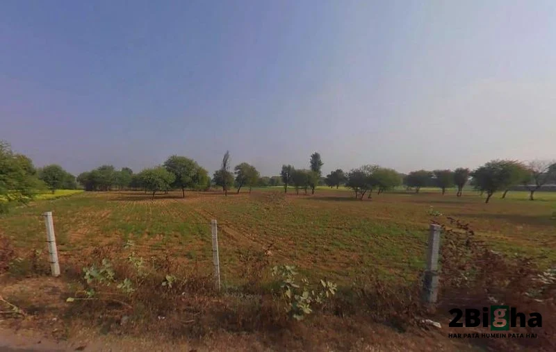 Chalk, Faridpur, Haryana 125103, India preview 3