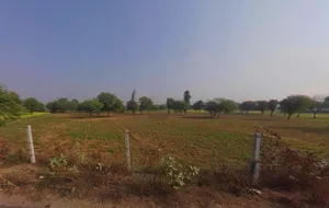 Chalk, Faridpur, Haryana 125103, India preview 3