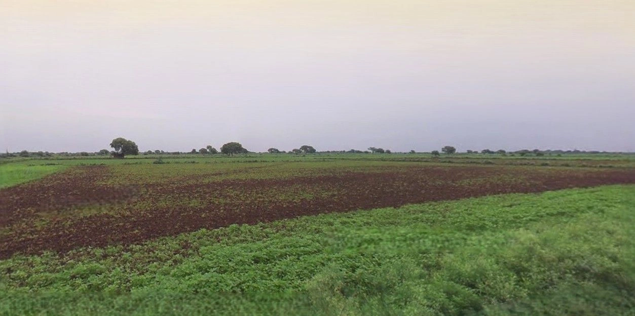 Purwa, Uttar Pradesh, India