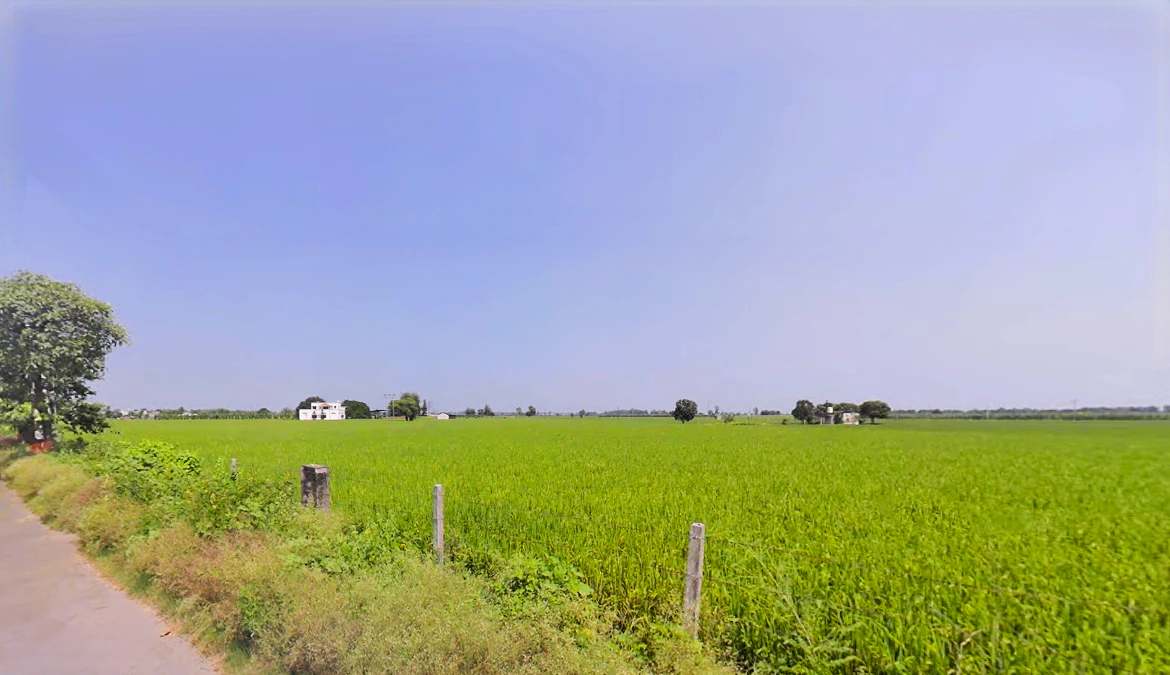 Barara, Haryana 133201, India