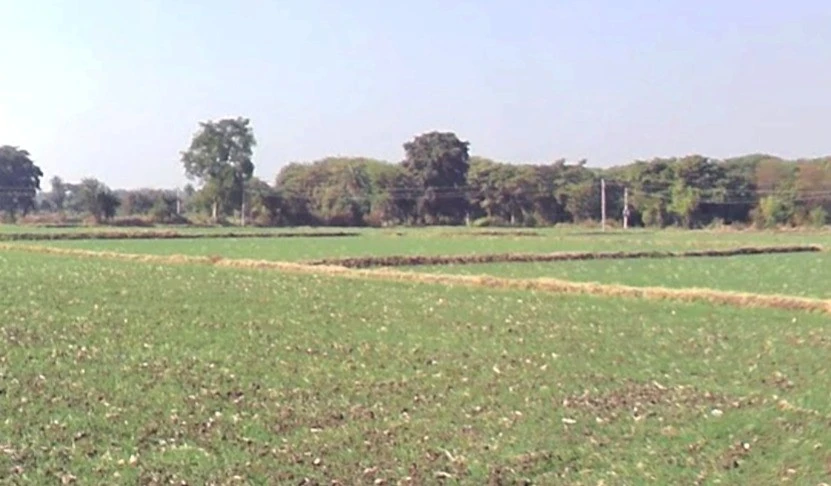 Daba, Madhya Pradesh, India