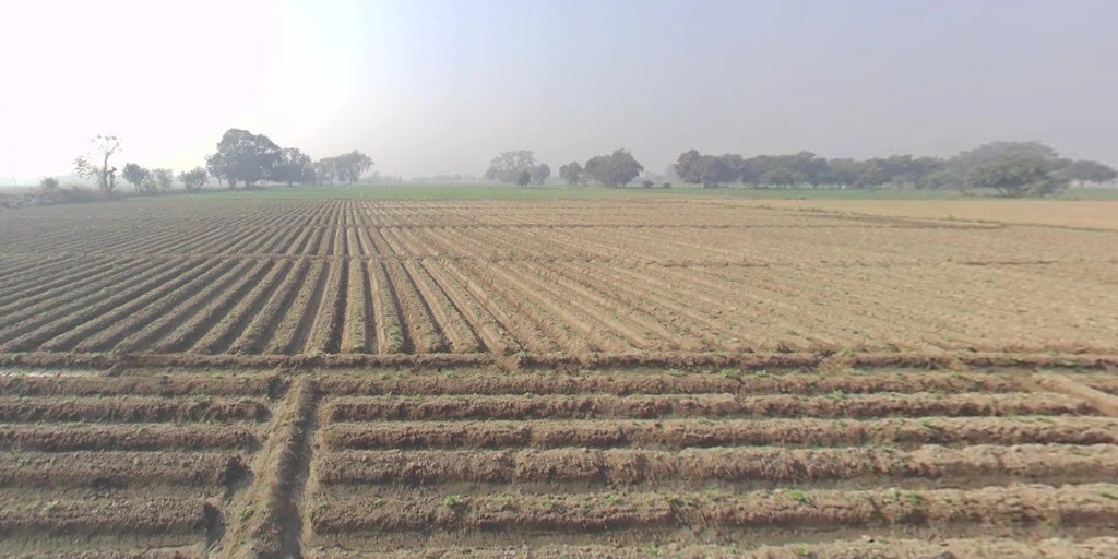 Meloj, Gujarat 384151, India