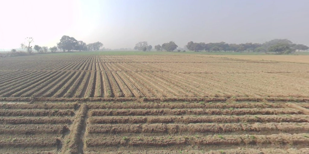 Meloj, Gujarat 384151, India